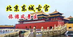 破处探花视频中国北京-东城古宫旅游风景区